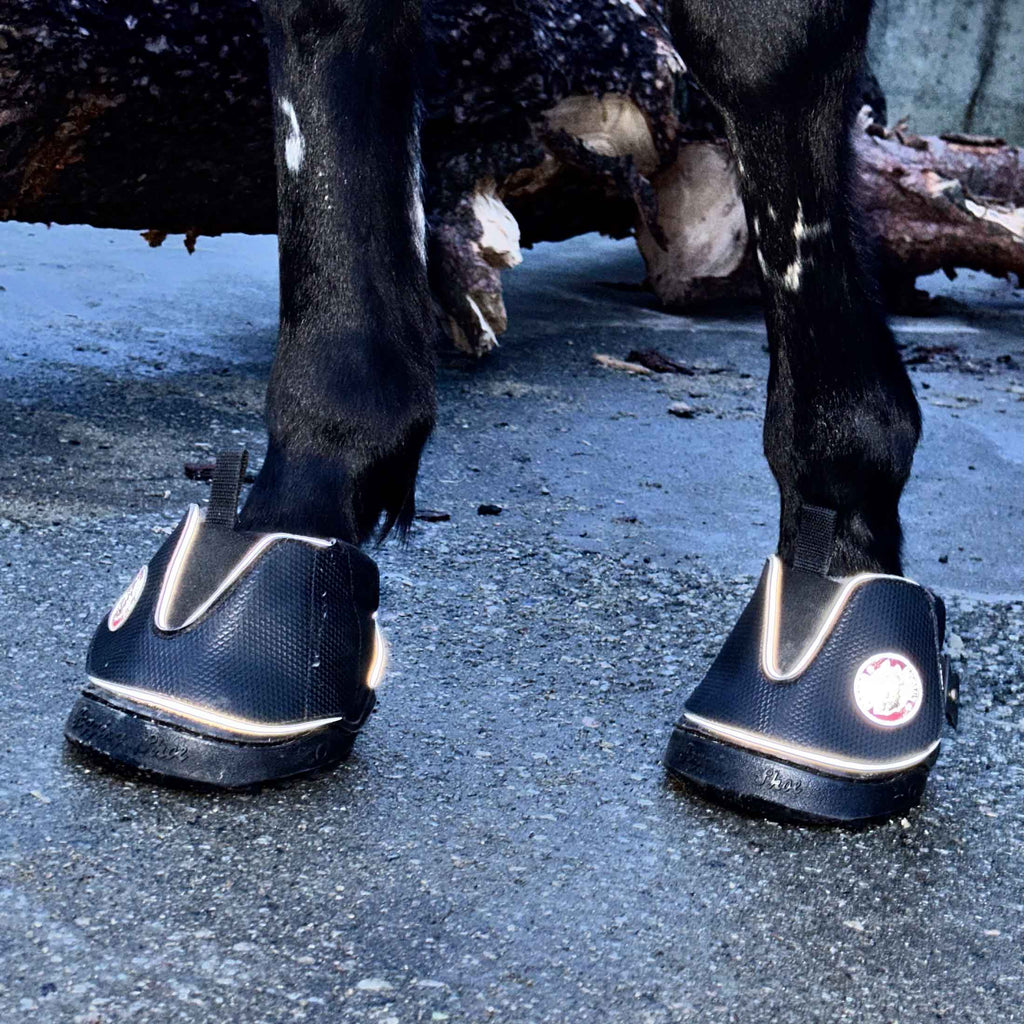 Equine Fusion Active Jogging Shoe Hoof Boot Pair image #3