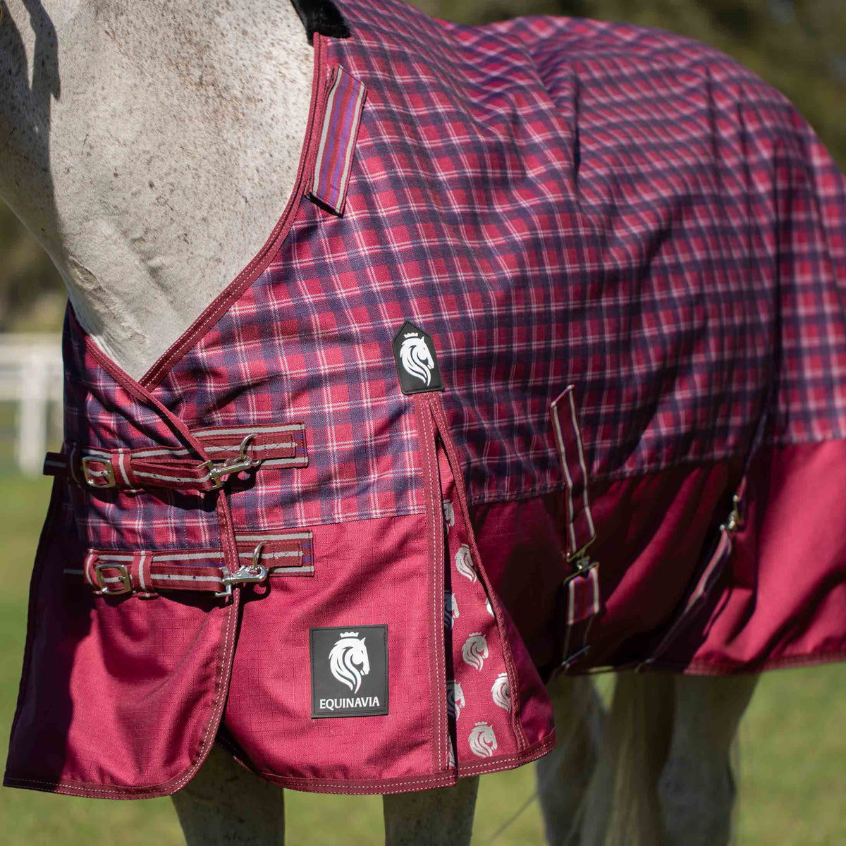 Equinavia Arktis Regular Neck Turnout Sheet image #5