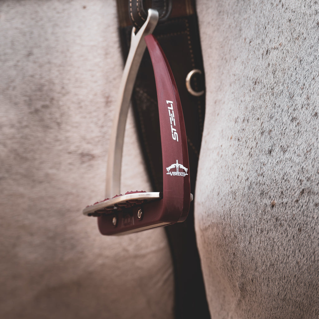 Veredus Vita Stirrup Steel1 image #14