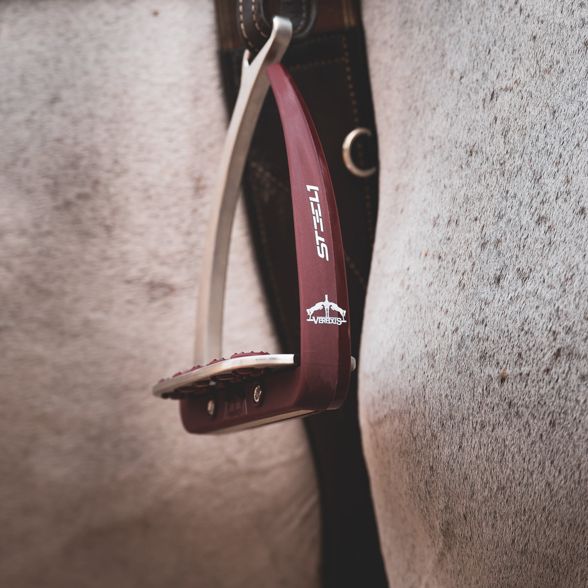 Veredus Vita Stirrup Steel1 image #14