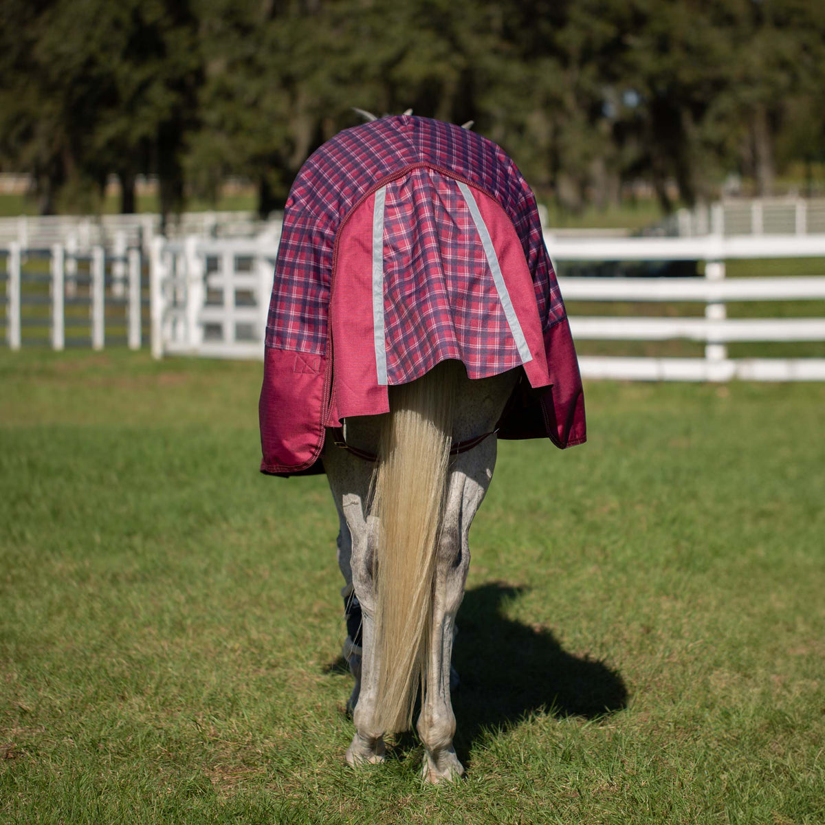 Equinavia Arktis Regular Neck Turnout Sheet image #4