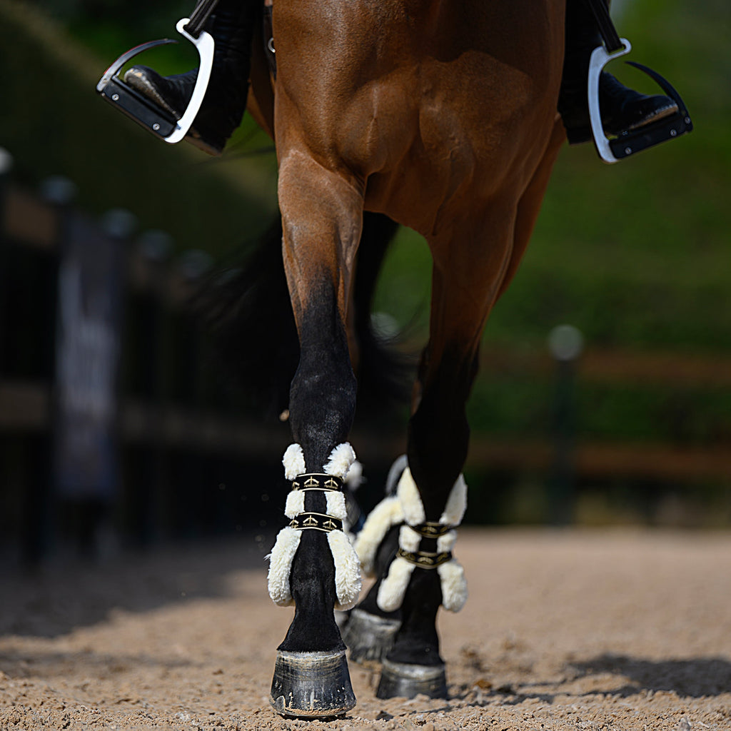 Veredus Carbon Gel Absolute Save the Sheep Front Tendon Boots image #3