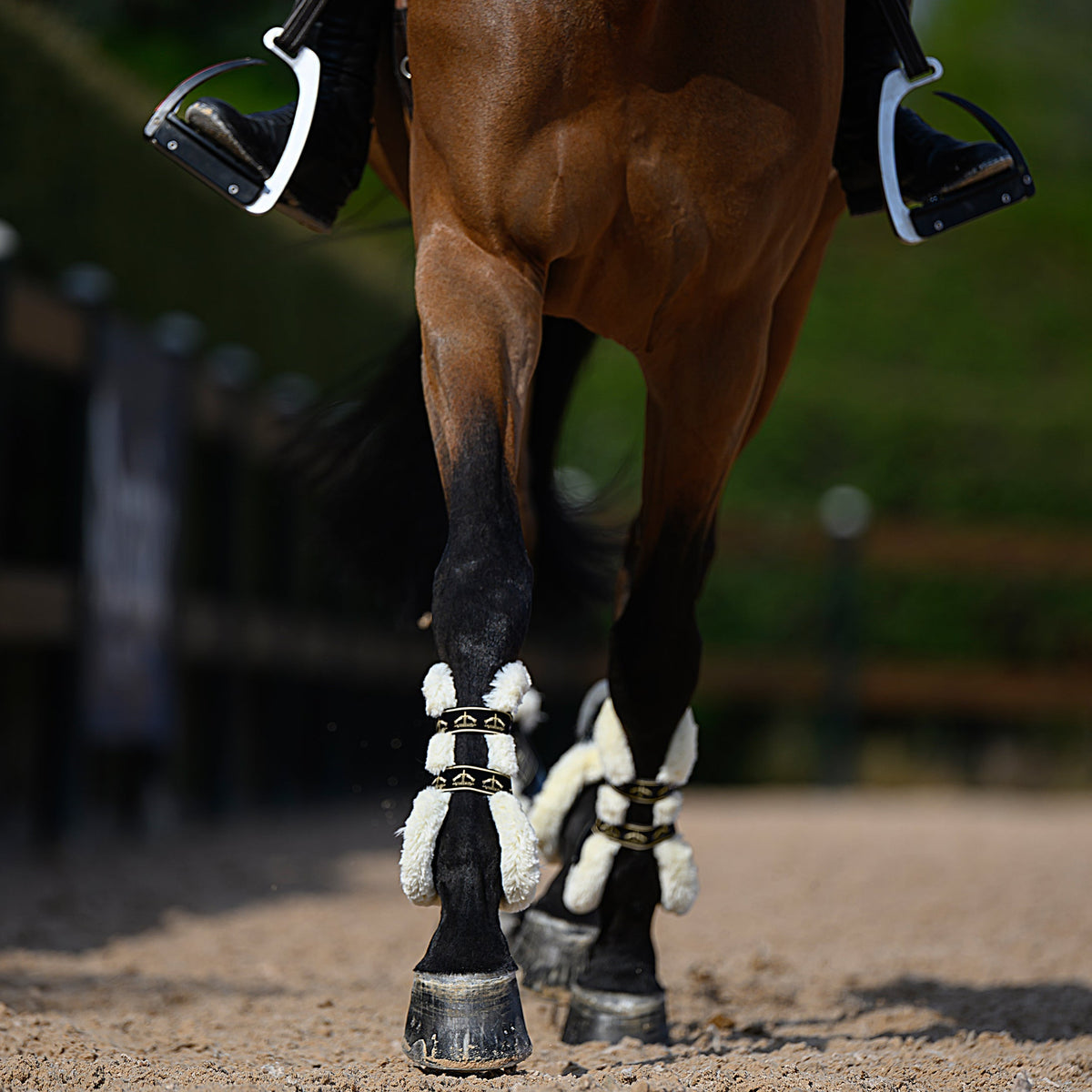 Veredus Carbon Gel Absolute Save the Sheep Front Tendon Boots image #3