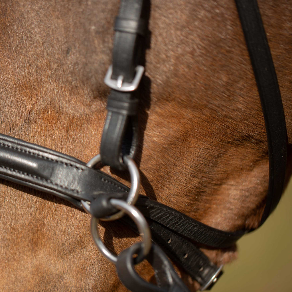 Equinavia Saga Bitless Bridle image #3