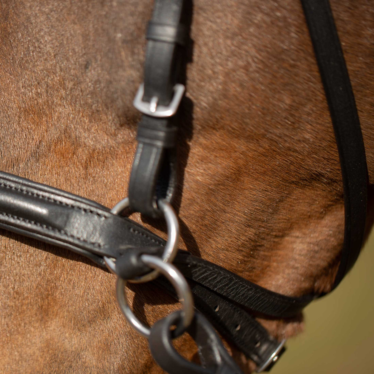 Equinavia Saga Bitless Bridle image #3