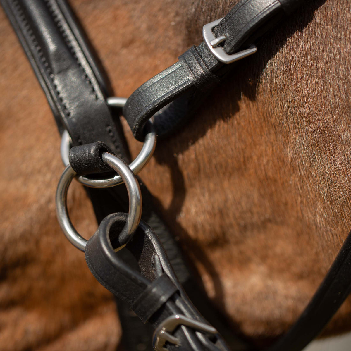Equinavia Saga Bitless Bridle image #5