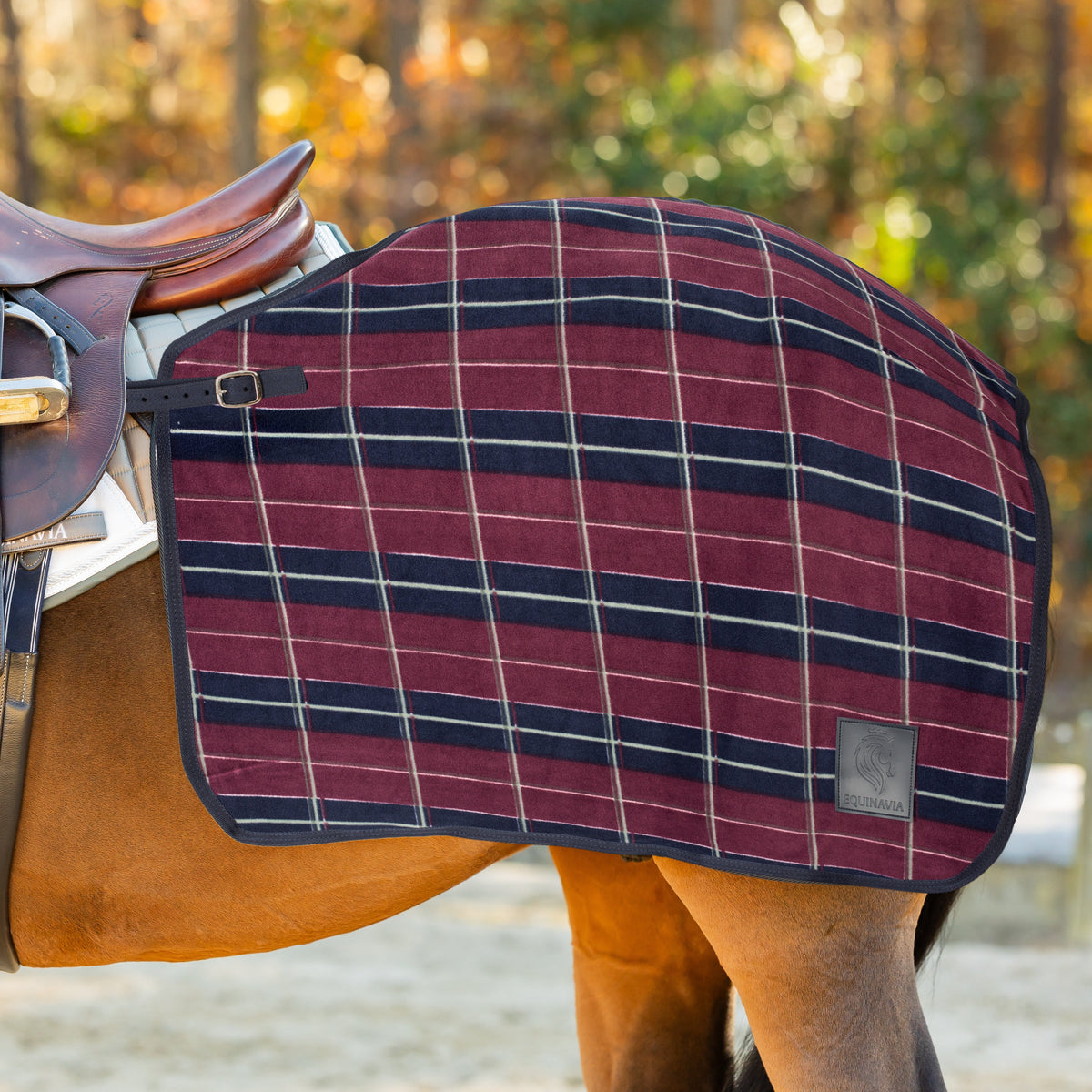 Equinavia Norse Fleece Exercise Quarter Sheet image #1