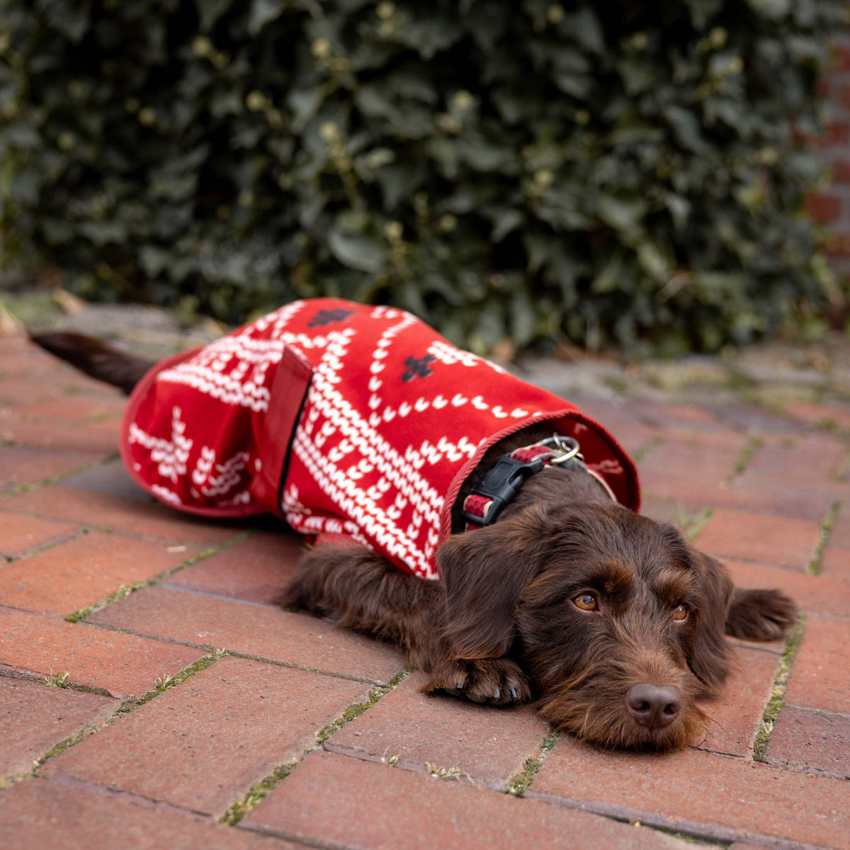 Horze Santa Dog Fleece Coat image #4
