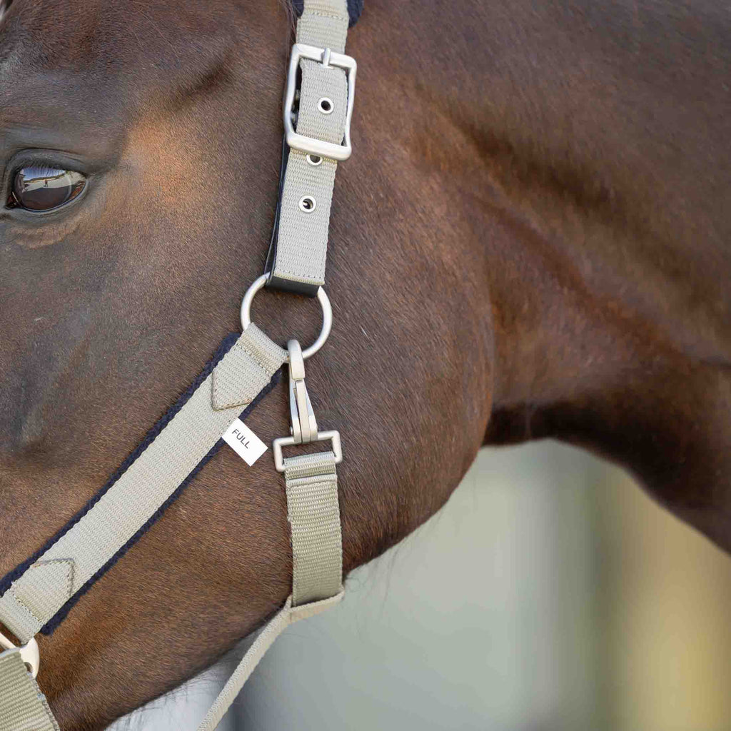 Equinavia Saga Fleece Padded Breakaway Halter image #4