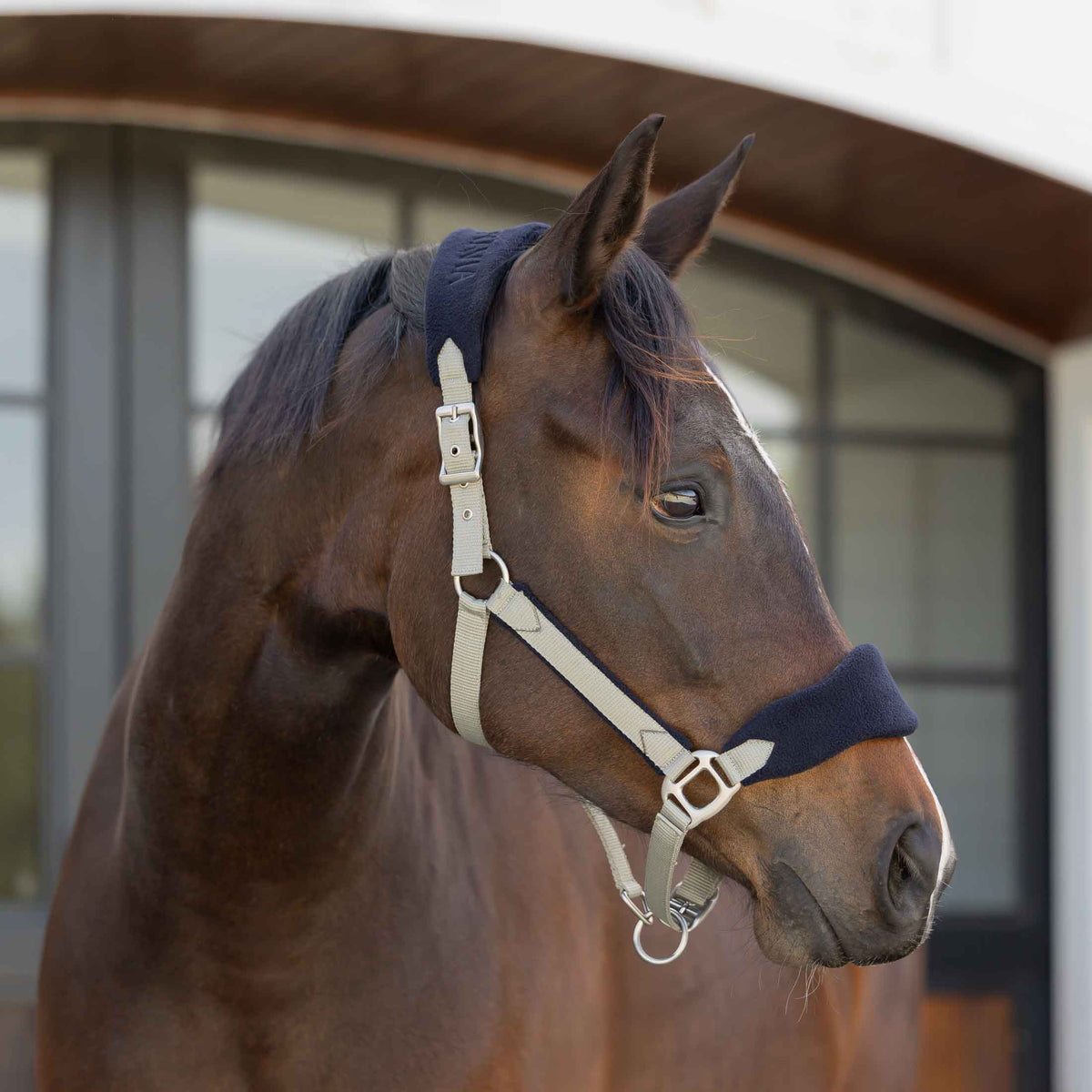 Equinavia Saga Fleece Padded Breakaway Halter image #5