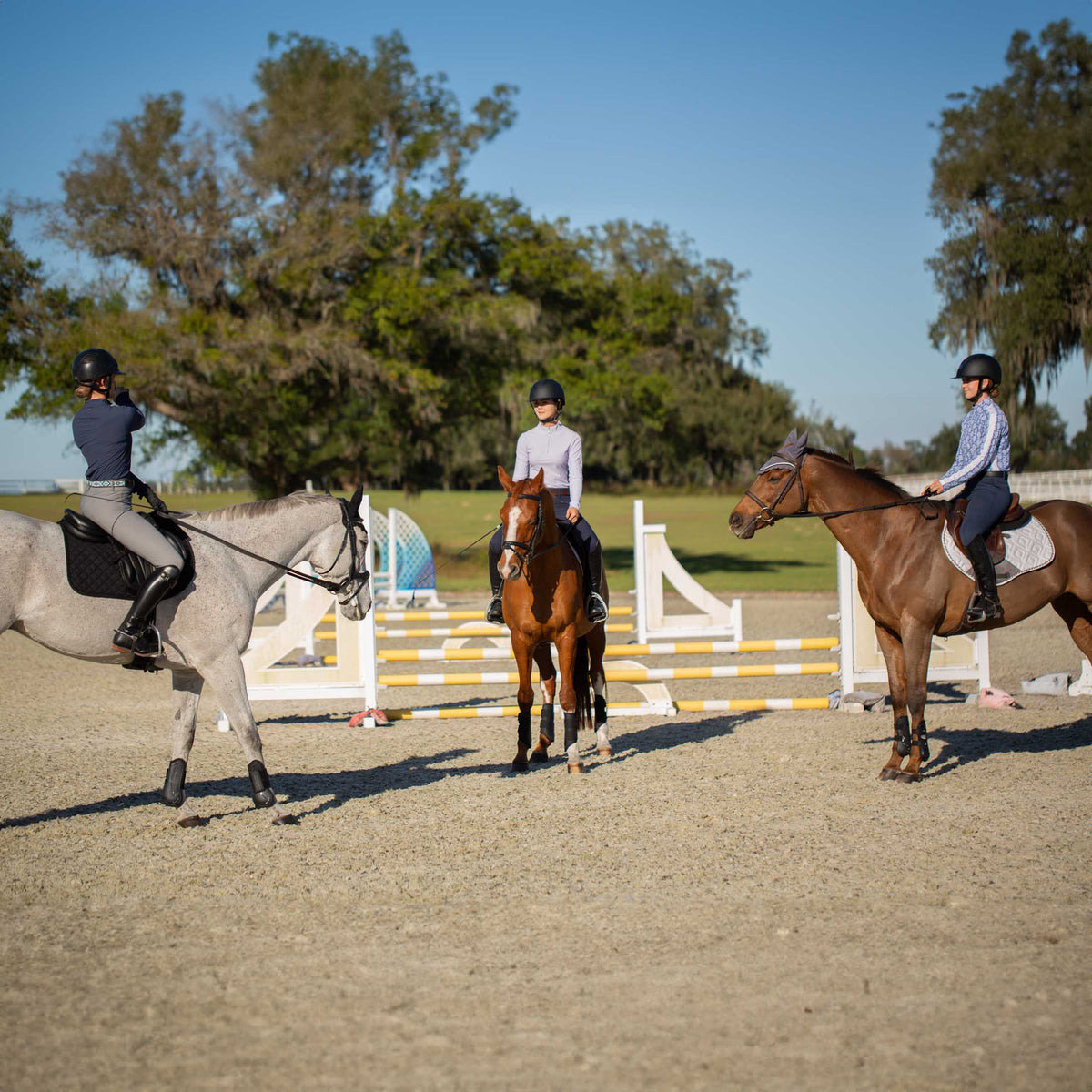 Equinavia Kristina Womens Knee Patch Breeches image #6
