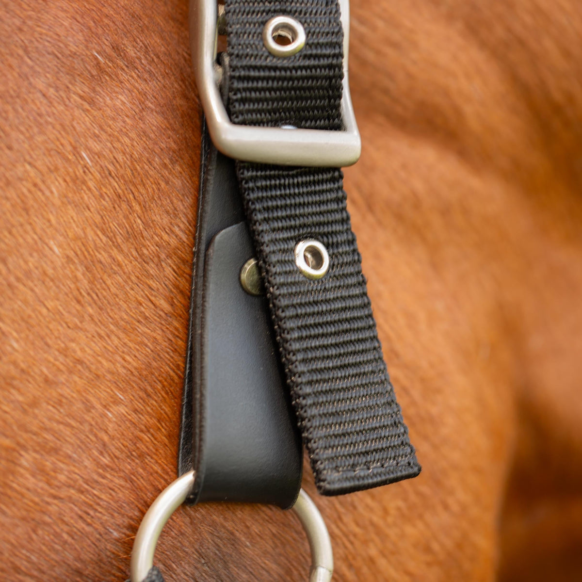 Equinavia Saga Fleece Padded Breakaway Halter image #2