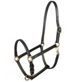 Horze Fremont Leather Horse Halter image #1