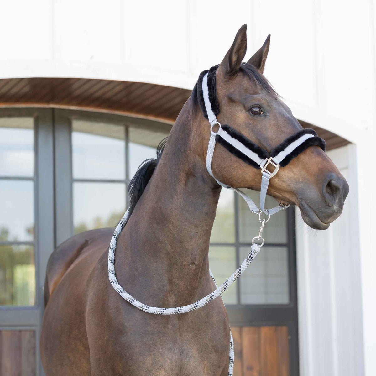 Equinavia Iris Soft Lead with Snap image #4