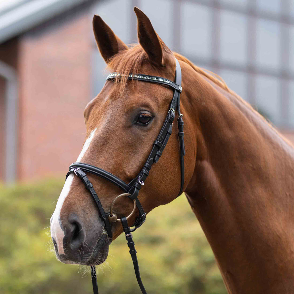 Horze Weston Flash Bridle w/ Reins image #2