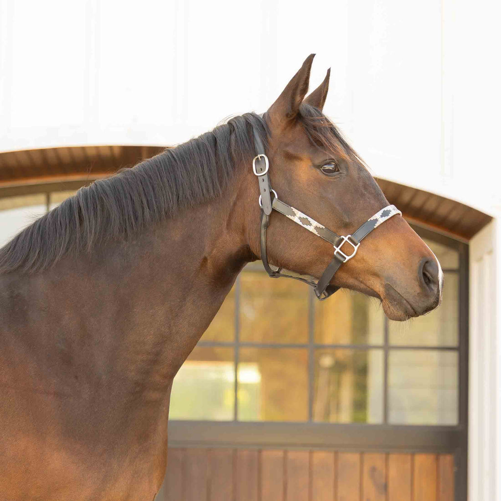 Equinavia Siri Polo Leather Halter image #5