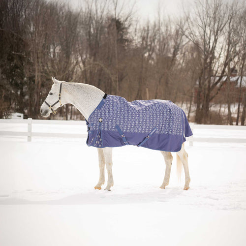 Equinavia Arktis Regular Neck Mid Weight Turnout Blanket 200g image #1