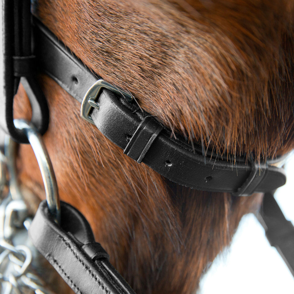 Horze Vienna Weymouth Dressage Bridle image #5
