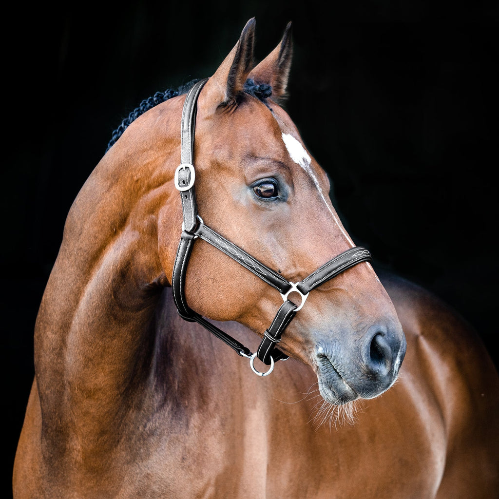 Horze Warren Soft Leather Halter image #2