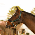 Equinavia Saga Fleece Padded Breakaway Halter image #1