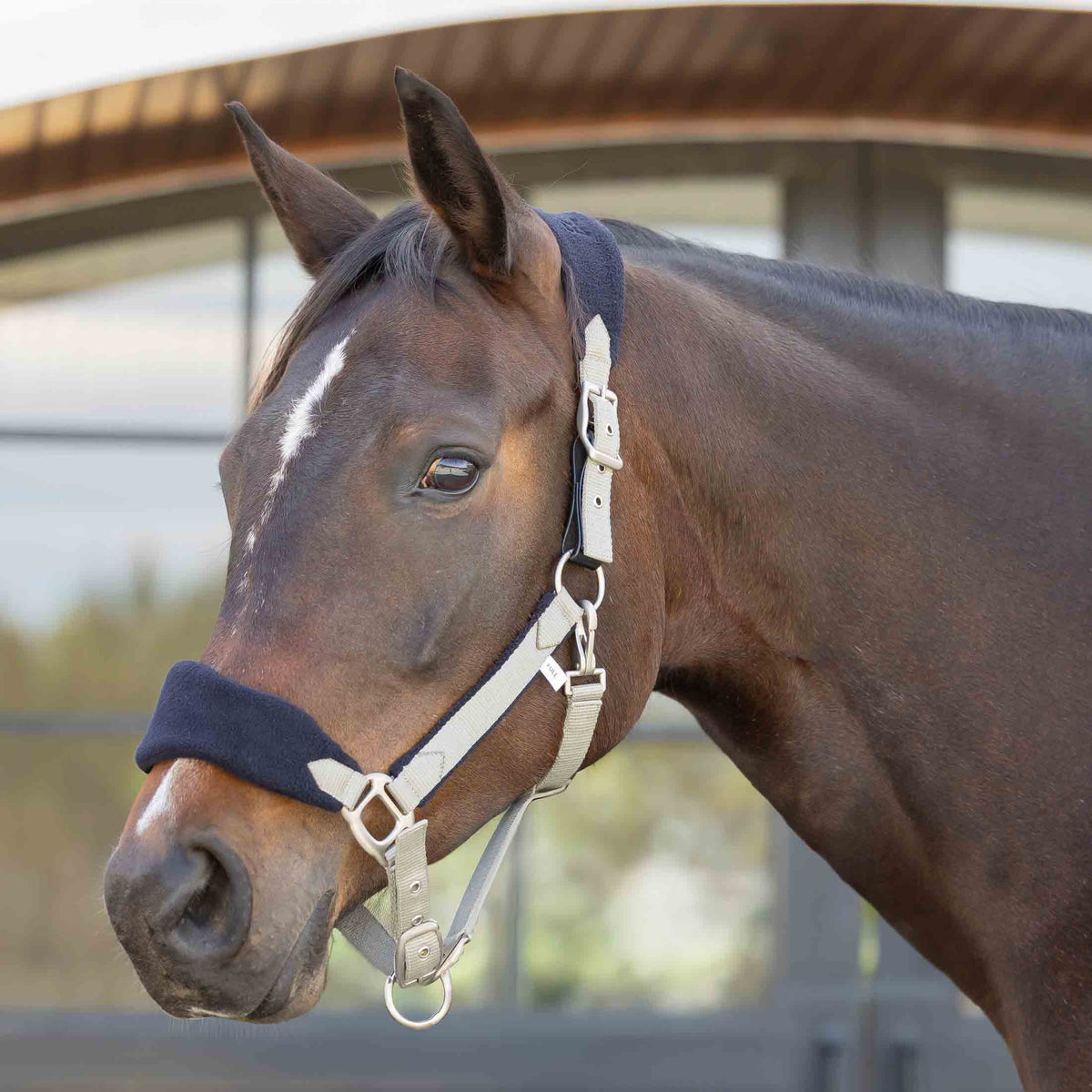 Equinavia Saga Fleece Padded Breakaway Halter image #1