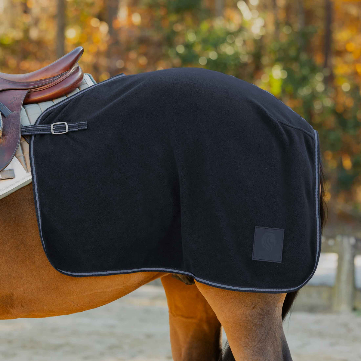 Equinavia Norse Fleece Exercise Quarter Sheet image #1