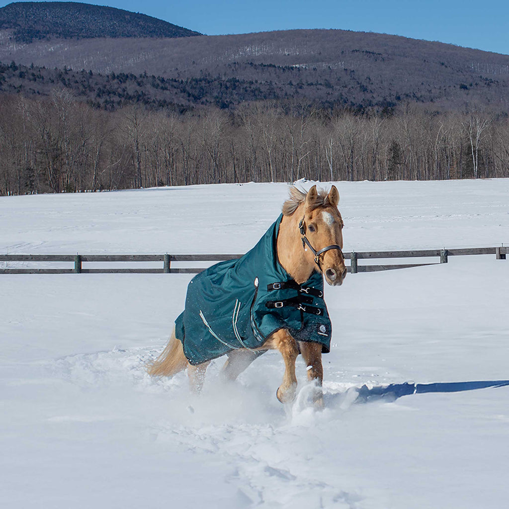Equinavia Arktis Extended Neck Mid Weight Turnout Blanket 200g image #3