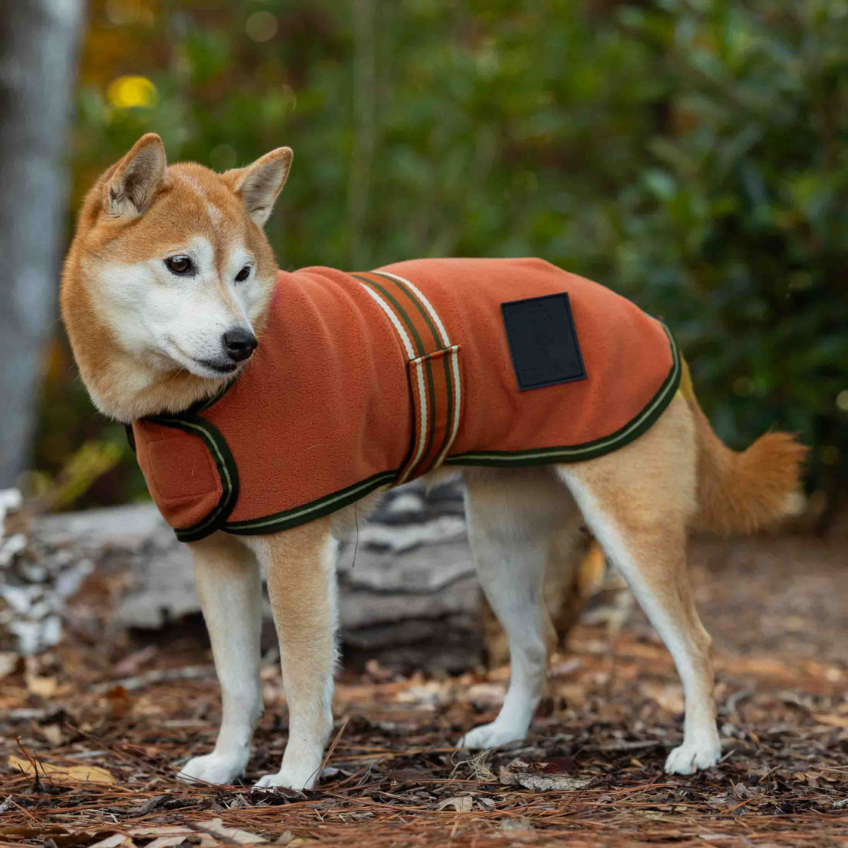 Equinavia Norse Fleece Dog Coat image #4