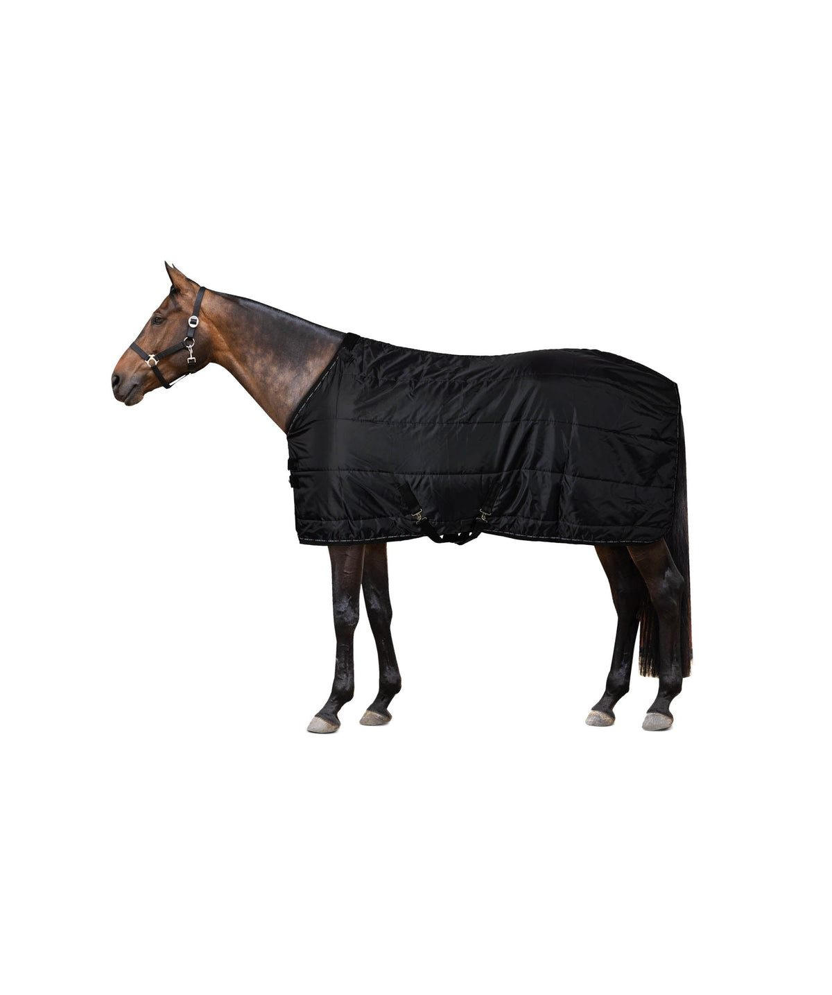 Horze Cairo Infrared Therapy Stable Blanket image #1