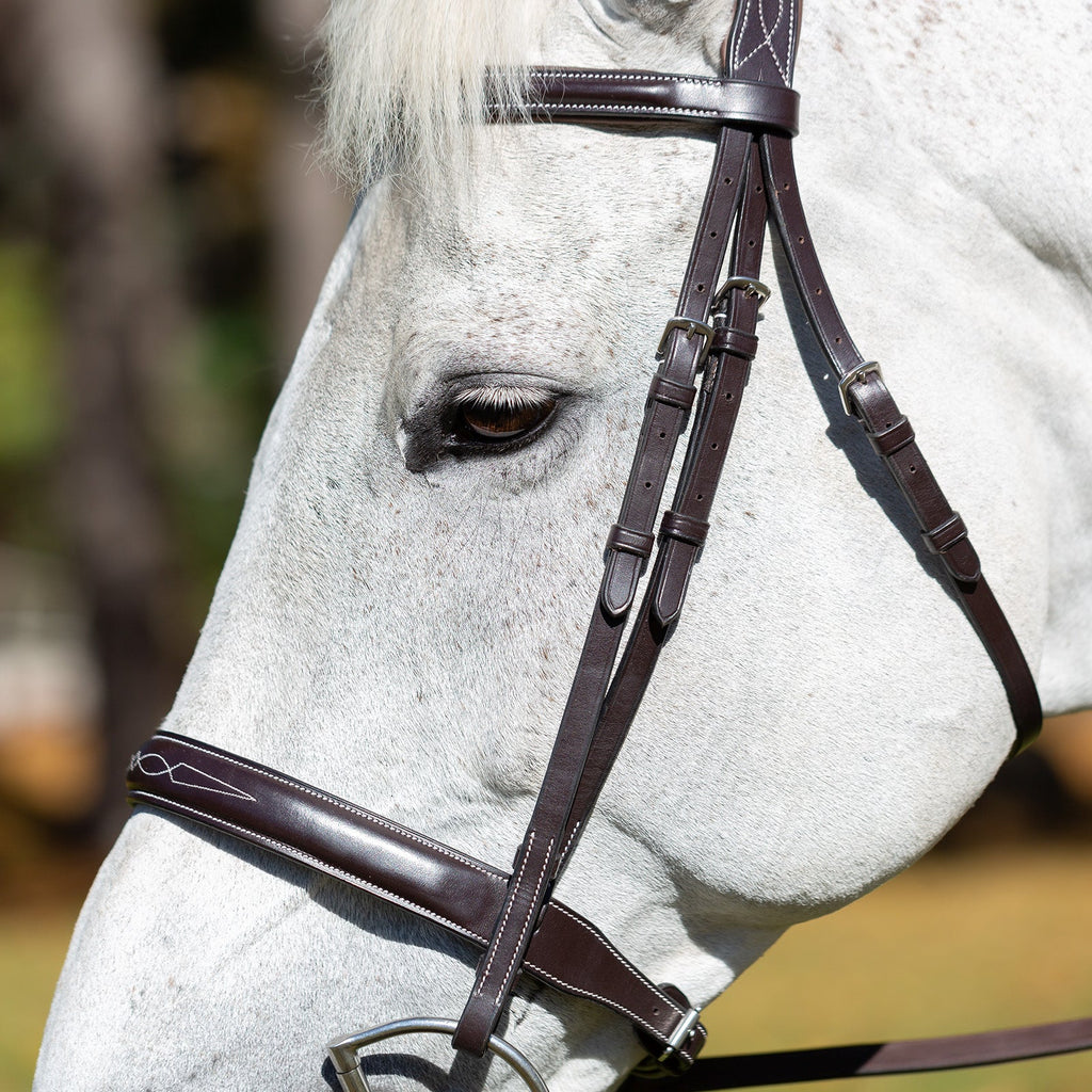 Equinavia Valkyrie Wide Noseband Hunter Bridle with Reins image #8