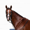 Equinavia Saga Double Bridle w/ Reins image #1