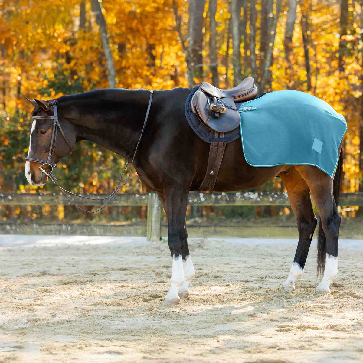 Equinavia Norse Fleece Exercise Quarter Sheet image #1