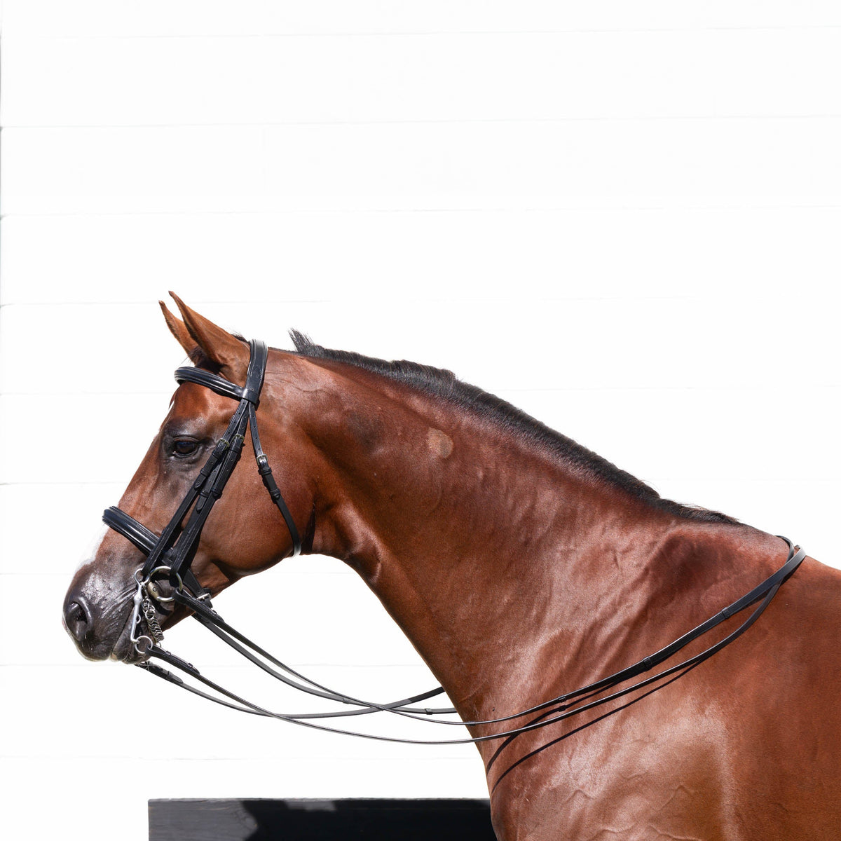 Equinavia Saga Double Bridle w/ Reins image #3