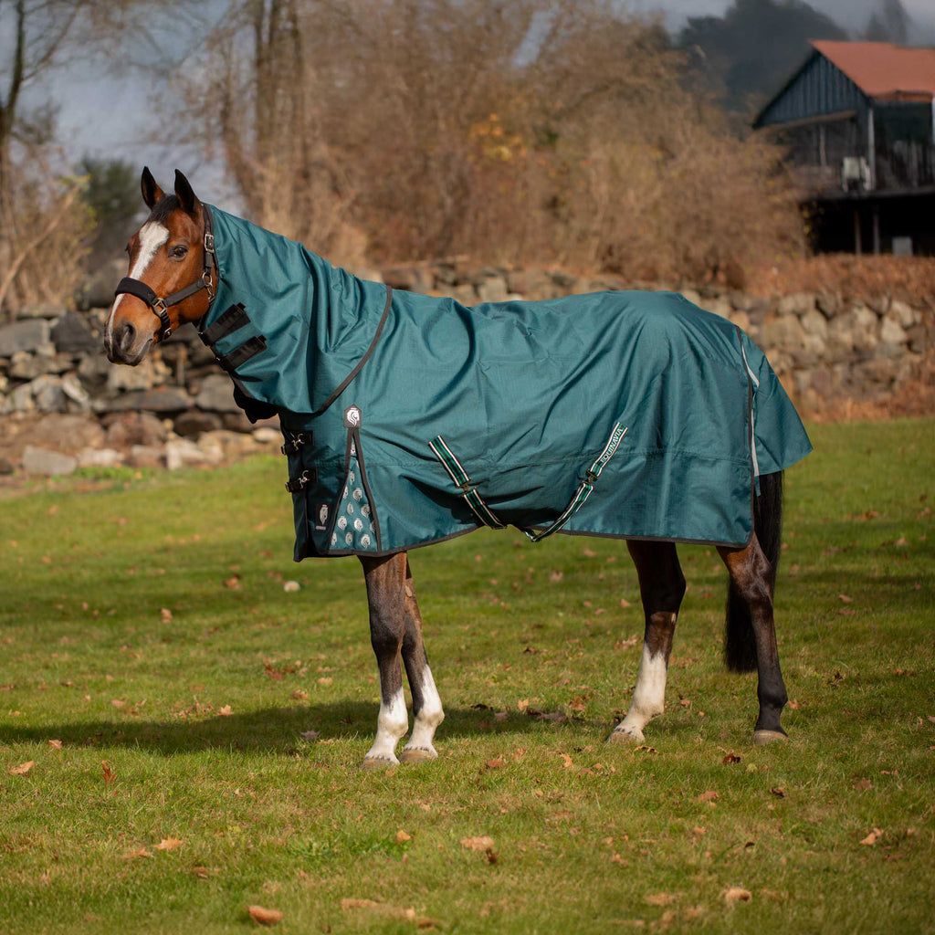 Equinavia Arktis Regular Neck Light Weight Turnout Blanket 100g image #2